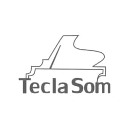 Logo da Teclasom — cliente da Nosso Consultor